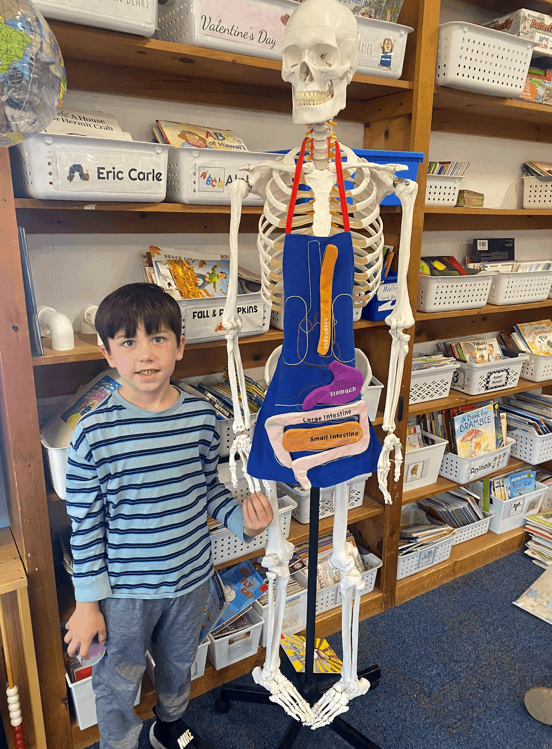 skeleton